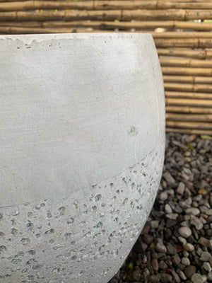 Arreglo Maceta - Coprosma Chocolate