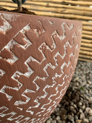 Arreglo Maceta - Gomero Rojo