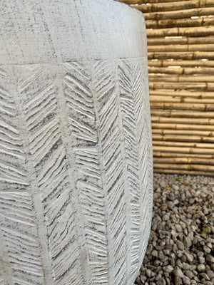 Arreglo Maceta - Ilex aquifolium Variegado