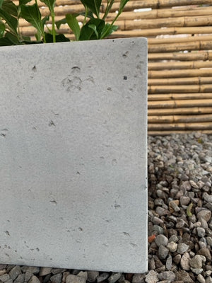 Arreglo Maceta - Jazmín del Cabo