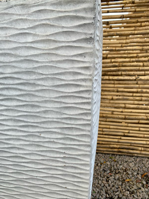 Arreglo Maceta - Kumquat