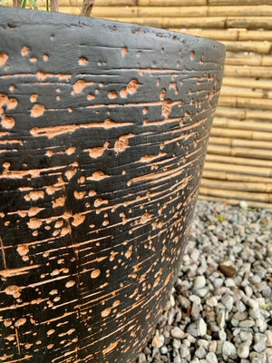 Arreglo Maceta - Nandina