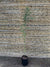 Aromo chileno - Acacia Dealbata  (2m)