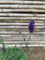 Lavanda Blue Spear