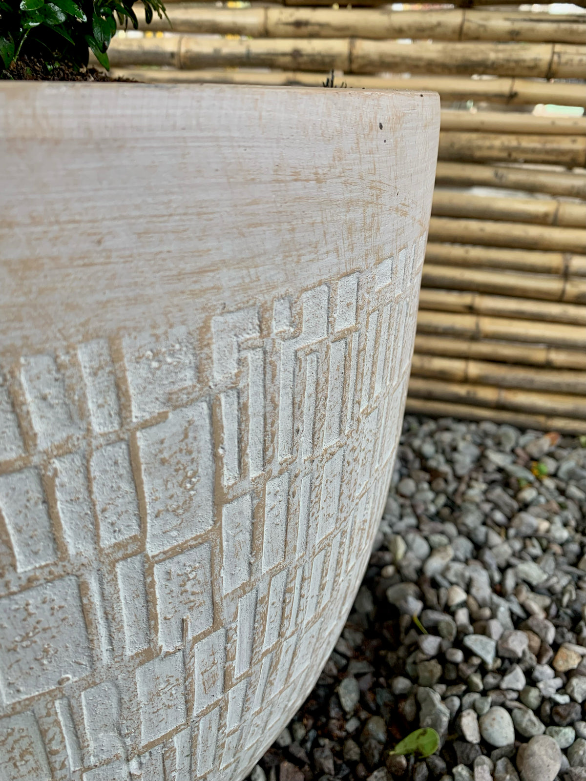 Arreglo Maceta - Boj Verde - Bechamel