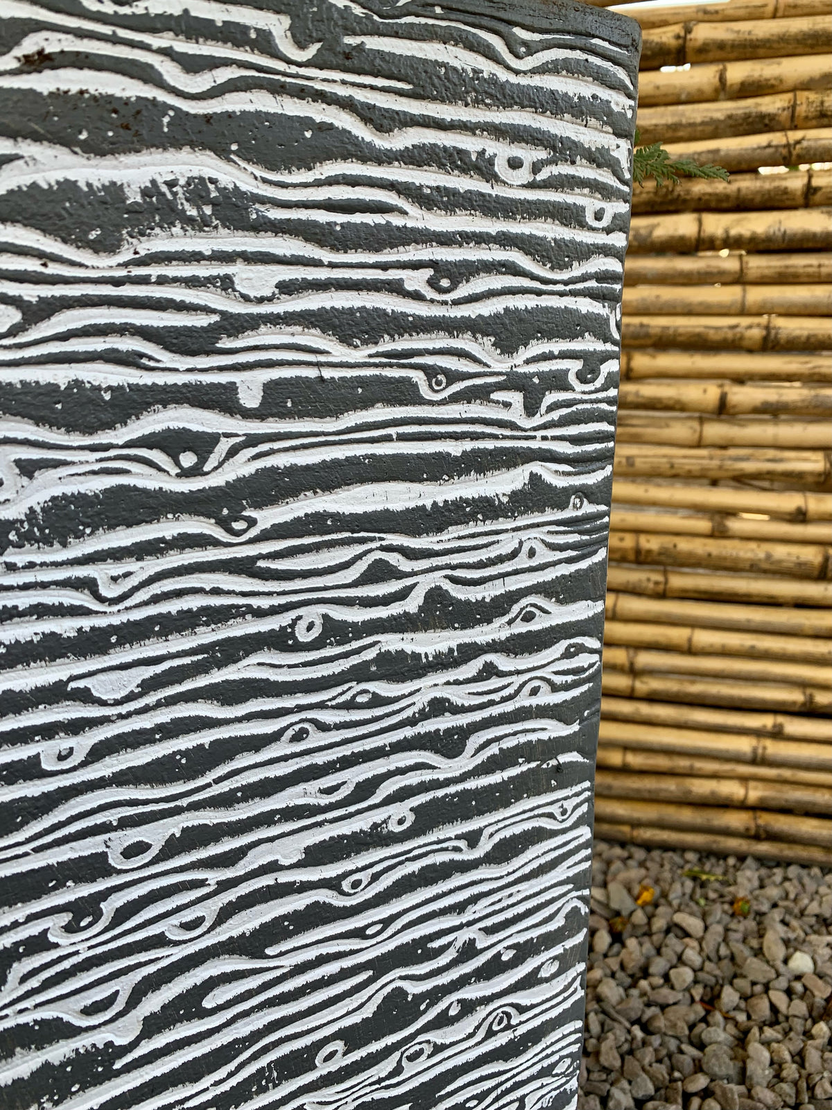 Arreglo Maceta - Helecho Paragua